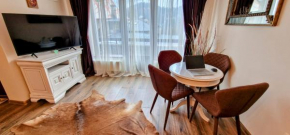 Snowflake Condo Sinaia